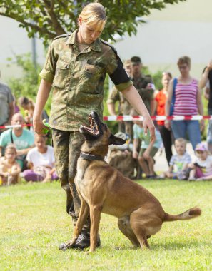 Alman askeri polis çoban köpeği onun sahibi tarafından açık gününde oturur.