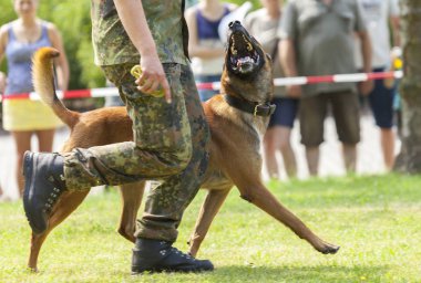 Alman askeri polis çoban köpeği onun sahibi tarafından yürür