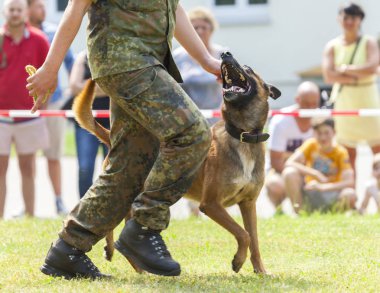 Alman askeri polis çoban köpeği onun sahibi tarafından yürür