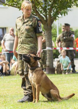 Alman askeri polis çoban köpeği onun sahibi tarafından açık gününde oturur. 