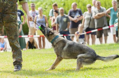 Alman askeri polis köpeği onun sahibi ile çalış