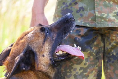 Alman askeri polis köpeği onun sahibine gösterir