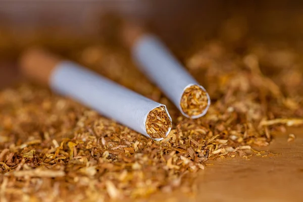 Dvě Cigarety Leží Tabákové Hnědé Trubky — Stock fotografie