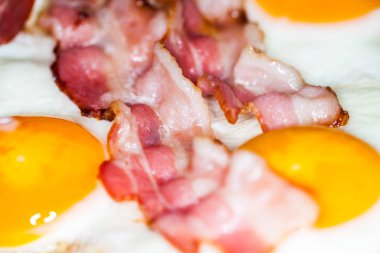 lezzetli domuz pastırması şeritler üzerinde kızarmış yumurta yatıyor