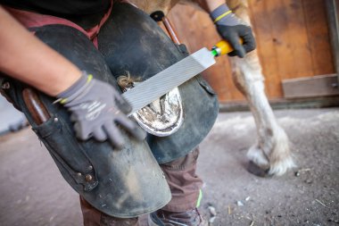 a blacksmith works on a horse hoof clipart