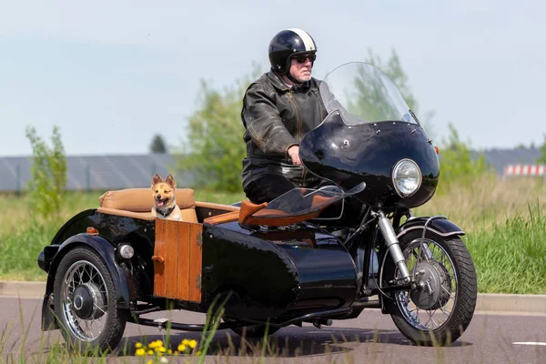 Ein Shetland Schäferhund Sitzt Einem Motorrad — Stockfoto