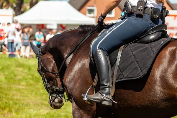 Tyska Polisen Ryttarinna Rider Polis Häst — Stockfoto