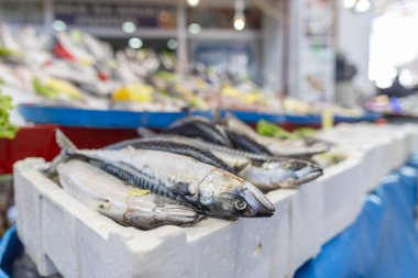 Çiğ balık Türk pazarında yatıyor