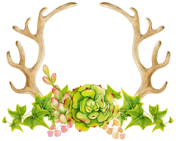 Aquarell-Geweih mit Sukkulente, Kaktus und Blättern. Handbemalte Hirschhörner — Stockfoto