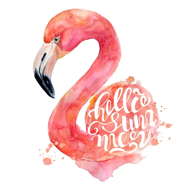 Sulu boya pembe flamingo el illüstrasyon boyalı
