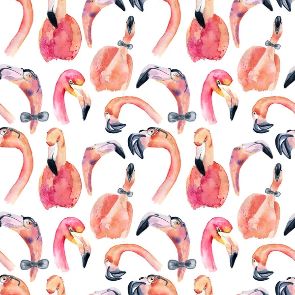 Aquarelle flamant rose motif sans couture isolé sur le fond blanc — Photo