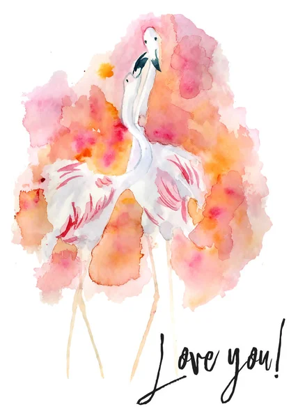 Aquarel kaart met flamingo — Stockfoto