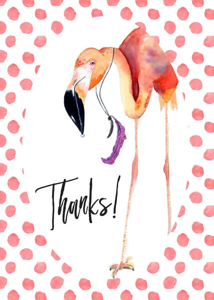 Akvarell rosa Flamingo tack-kort — Stockfoto