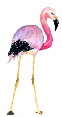 sulu boya pembe flamingolar
