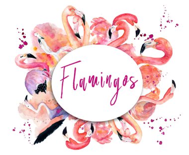 pembe flamingo ile yuvarlak çerçeve 