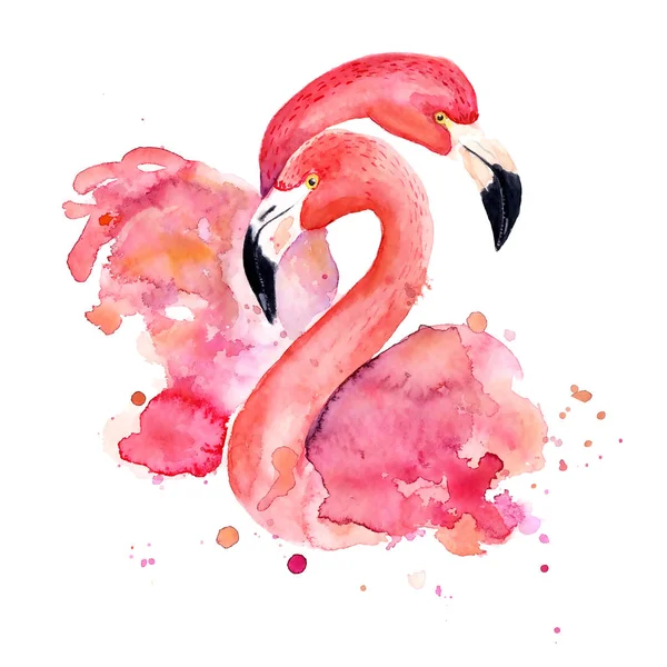 Aquarela flamingos rosa — Fotografia de Stock