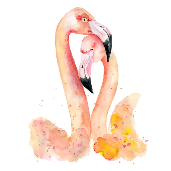 Akwarela różowe flamingi — Zdjęcie stockowe