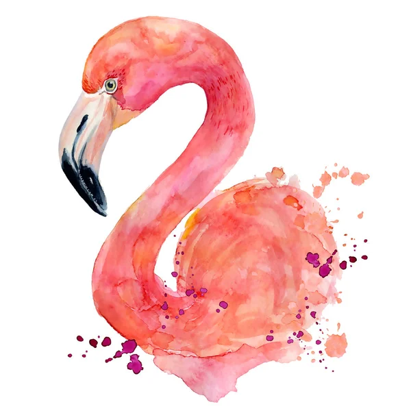 Suluboya pembe flamingo