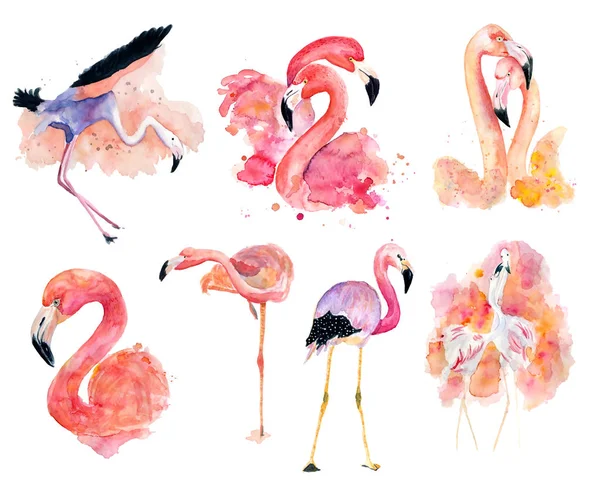  sulu boya pembe flamingolar
