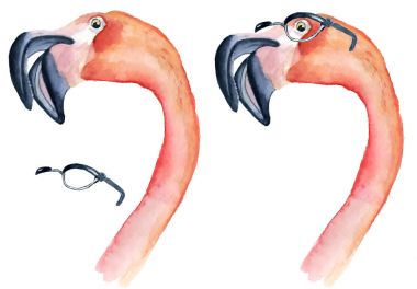 Suluboya Pembe Flamingo gözlük
