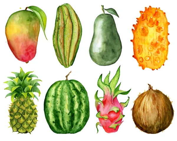 Тропічний фруктовий шматочок акварельна рука намальована ілюстрація — стокове фото
