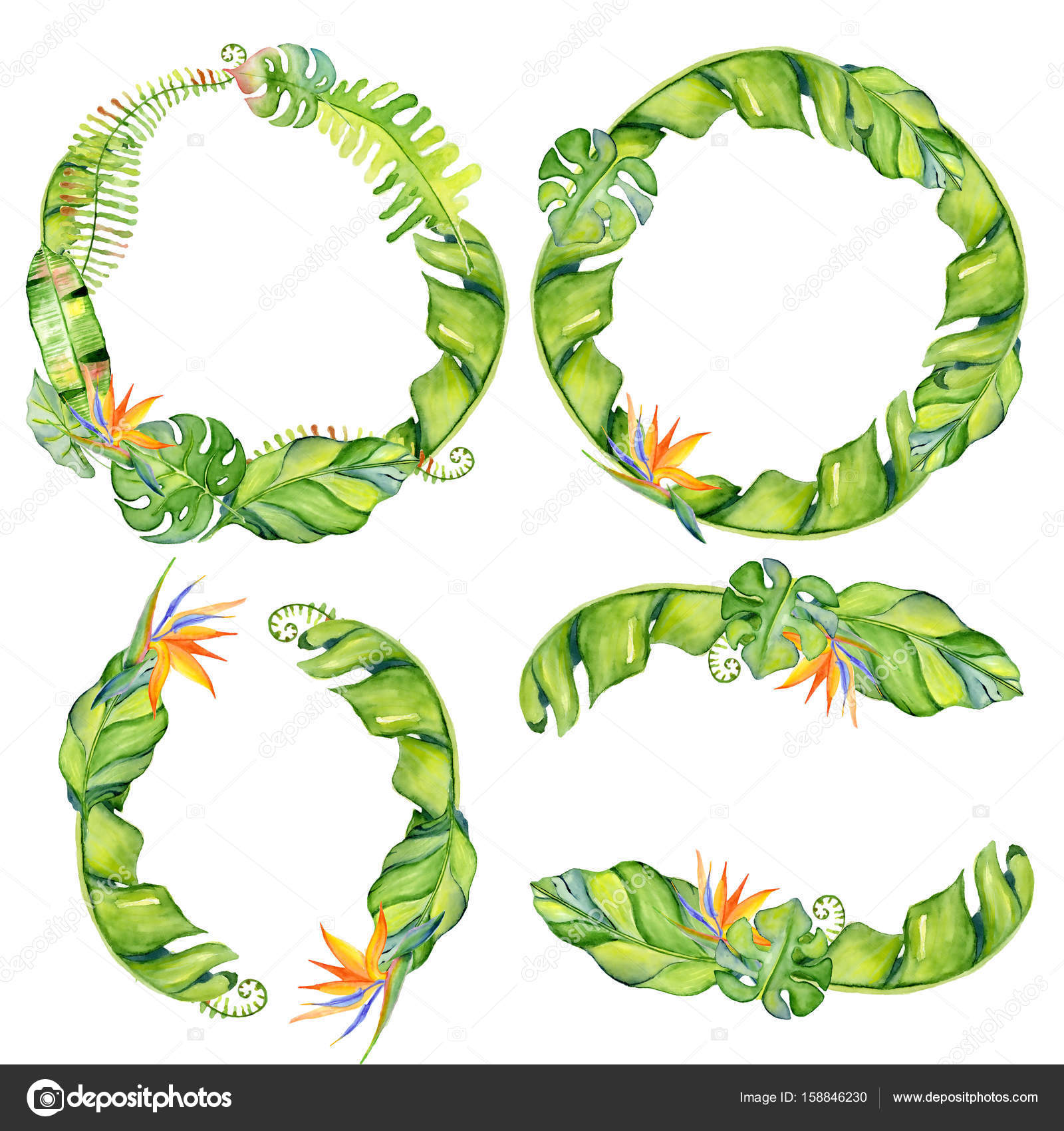 Watercolor tropical leaves wreath Stock Photo by ©nereia 158846230