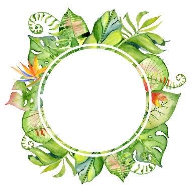 suluboya tropikal yaprak çerçeve