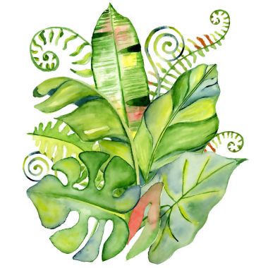 Buket suluboya tropikal yaprak