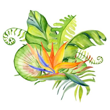 Buket suluboya tropikal yaprak