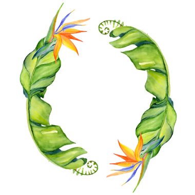 Suluboya tropikal çelenk bırakır