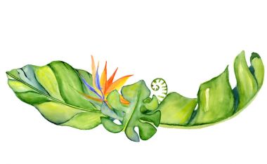 Suluboya tropikal çelenk bırakır