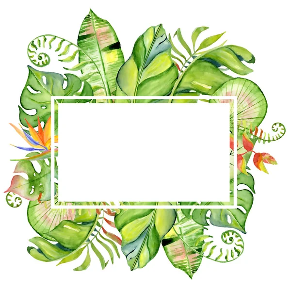 Akvarel tropické listy rám — Stock fotografie