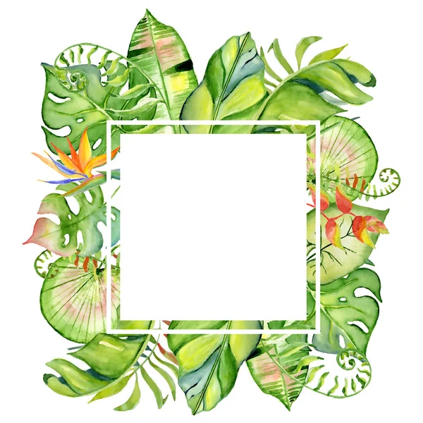 Watercolor tropical leaves frame
