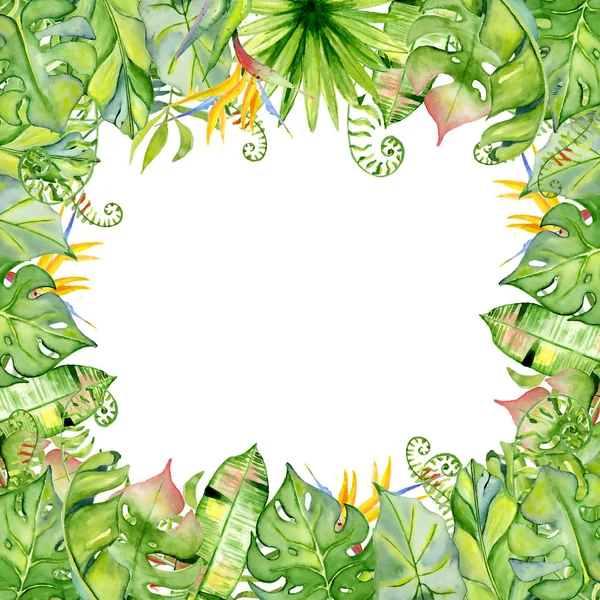 Akvarell tropiska löv ram — Stockfoto