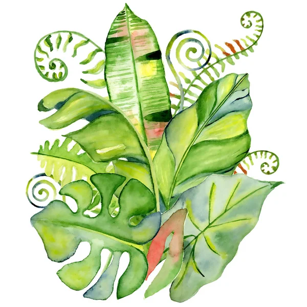 Bouquet de feuilles tropicales aquarelle — Photo