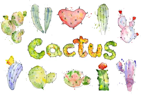 Conjunto de cactus pintados a mano de alta calidad acuarela cactus — Foto de Stock