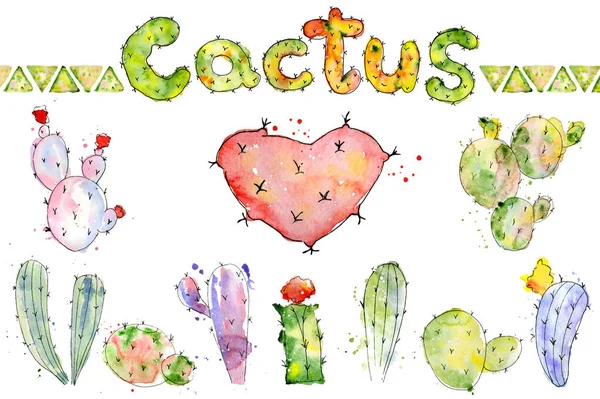 Conjunto de cactus pintados a mano de alta calidad acuarela cactus — Foto de Stock