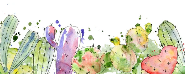 Arrangements de cactus tropicaux, bordures, cadres aquarelle cactus print — Photo