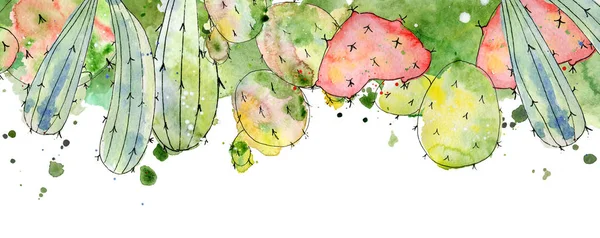 Trópusi kaktusz szabályok, határok, keretek nyomtatási akvarell kaktuszok — Stock Fotó