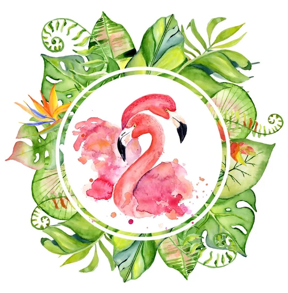 Pembe flamingo suluboya ile yeşil tropikal bitki aranjman çizilen illüstrasyon el, egzotik monstera ve muz yaprakları — Stok fotoğraf