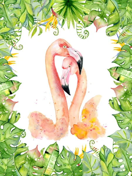 Flamingo rosa acuarela ilustración dibujada a mano en arreglo con plantas tropicales verdes, monstruos exóticos y hojas de plátano — Foto de Stock