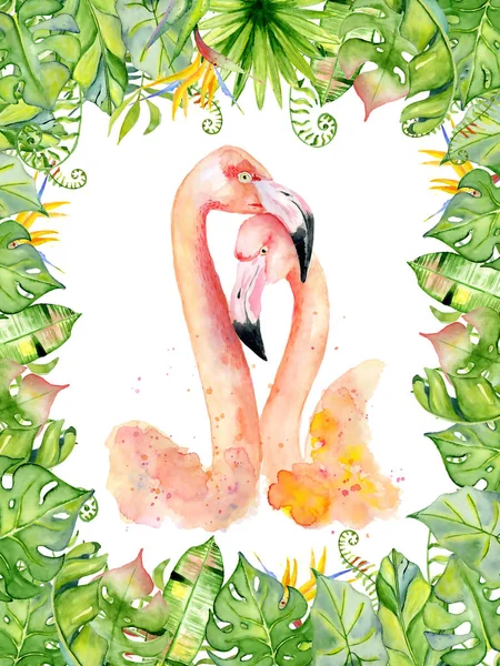 Pink flamingo watercolor hand drawn illustration in arrangement with green tropical plants, exotic monstera and banana leafs