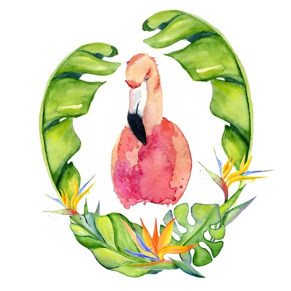 Flamingo rosa acuarela ilustración dibujada a mano en arreglo con plantas tropicales verdes, monstruos exóticos y hojas de plátano — Foto de Stock