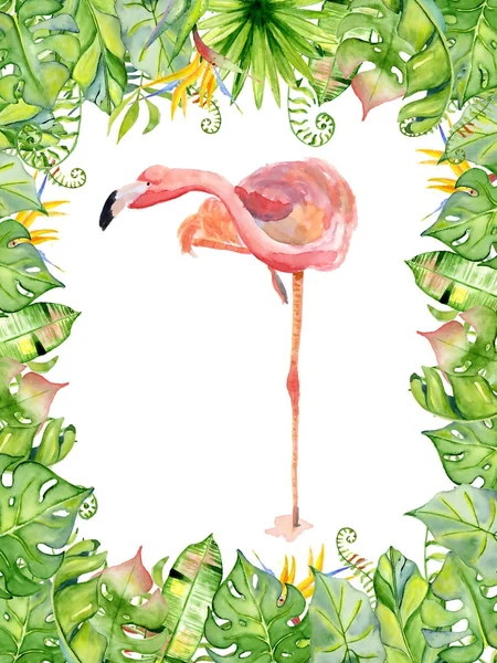 Flamingo rosa acuarela ilustración dibujada a mano en arreglo con plantas tropicales verdes, monstruos exóticos y hojas de plátano — Foto de Stock
