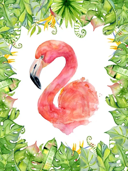 Flamingo rosa acuarela ilustración dibujada a mano en arreglo con plantas tropicales verdes, monstruos exóticos y hojas de plátano — Foto de Stock