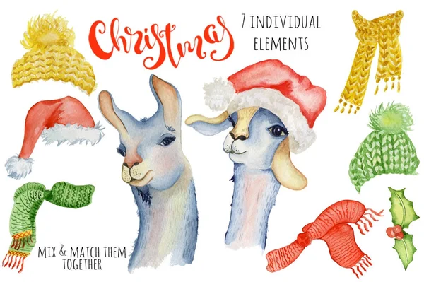 Cute Christmas lama watercolor creator Winter illustration with decorations alpaca — Stock Photo, Image