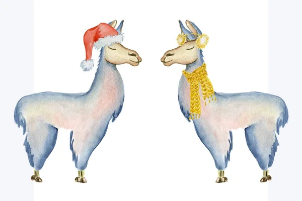 Illustration de lama de Noël avec chapeau de Père Noël et écharpe Animaux d'aquarelle d'hiver Illustration mignonne pour enfants parfaite pour les cartes de vœux ou postales, impressions sur t-shirts, étuis de téléphone — Photo