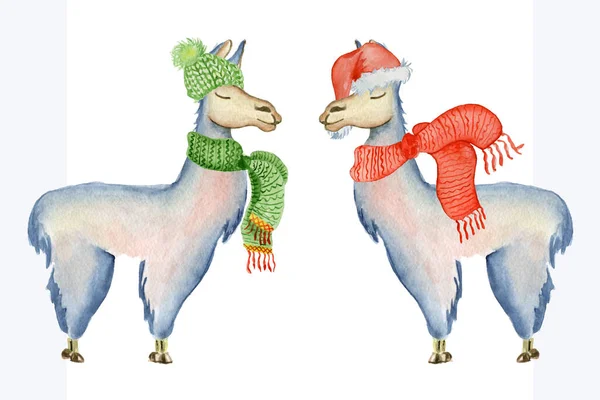 Χριστούγεννα Λάμα εικόνα με Santa καπέλο και φουλάρι χειμώνα ακουαρέλα ζώα χαριτωμένα παιδιά εικόνα τέλεια για χαιρετισμό ή ταχυδρομικές κάρτες, εκτυπώσεις σε t-shirts, τηλεφωνικές περιπτώσεις — Φωτογραφία Αρχείου