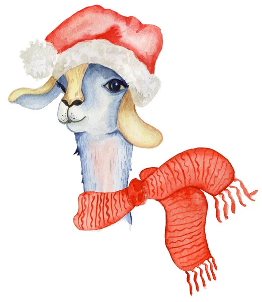 산타 모자와 스카프 겨울 수채화 동물 귀여운 아이 그림 인사말 또는 게시물 카드를, 완벽 한 크리스마스 라마 일러스트 티셔츠, 휴대 전화 케이스에 인쇄 — 스톡 사진