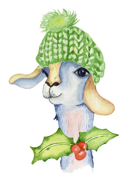 Рождественская иллюстрация ламы с шапкой Санта-Клауса и шарфом Зимние акварельные животные Симпатичные детские иллюстрации идеально подходят для поздравлений или открыток, отпечатков на футболках, чехлах для телефона — стоковое фото